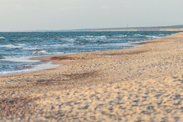 Fototapeta na wymiar Russia. Kaliningrad region. Dunes in the Curonian Spit Nature Reserve on the Baltic Sea coast.