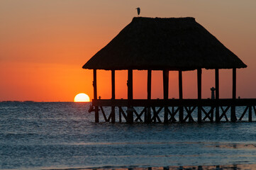 Wooden pier by the sea with thatched roof at sunset on a tropical beach on Holbox Island in Mexico