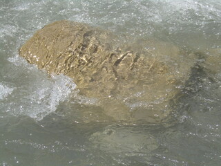 Obraz premium torrent