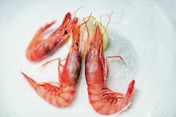 Close-up of fresh shrimp on salt