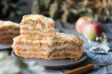 Pieces of apple cake, gateau on a plate on grey tablecloth with ripe apples, selective focus