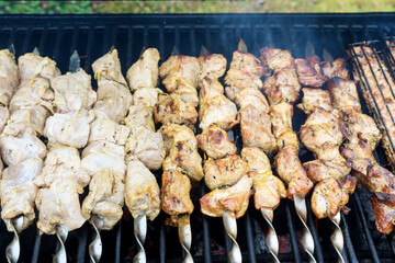 Barbecue grill on roast meat skewers over charcoal BBQ