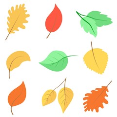 Set of autumn leaves vector illustration. Collection of hand drawn foliage of bright colors. Fall sheets decoration for banners, cards and backgrounds.
