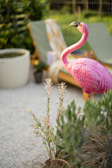 Figure of a pink flamingo in the backyard with sunbeds on the background