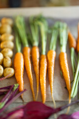 Fresh baked root vegetables on the tray. Concept of fresh locally grown seasonal vegetables