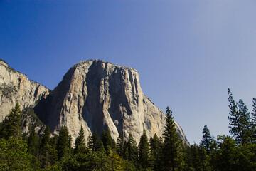 Beautiful mountain and forest in Yosemite.