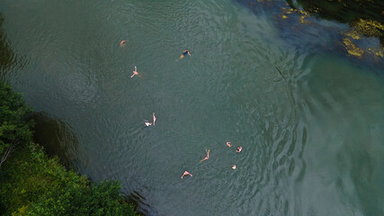 Aerial top view of people swimming in forest the river. Resting concept.