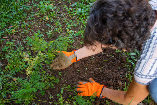Jardinagem e plantio de horta caseira. Para comida sem agrot&oacute;xicos 