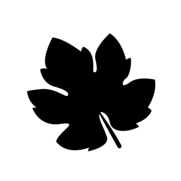 FEUILLE DE VIGNE 3