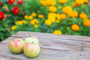 Three fresh apples lie on a wooden surface against the background of blooming flowers.. Healthy food concept