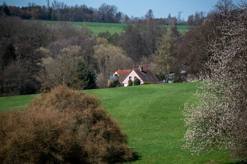 small country house among green meadows