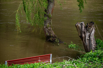 red bench in the water during floods