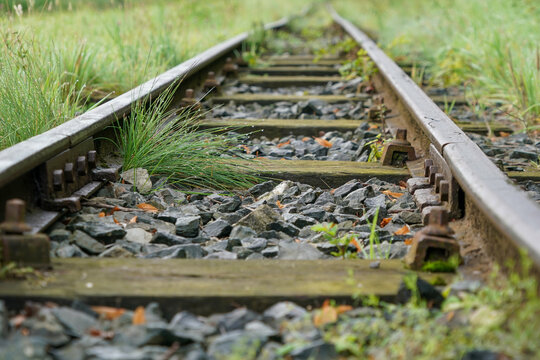 Gleise mit Bahnschwelle von Pflanzen verwuchert