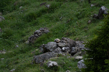 Marmotte en balade 2