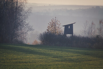 Ambona myśliwska i mgły. © Adam Sadlak