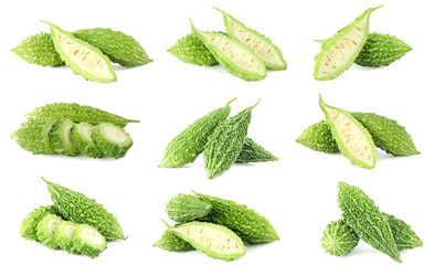 collection of bitter gourd isolated on white background