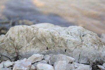 Many rocks near the lake.