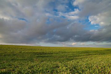 Widok na zieloną łąkę z chmurami na niebie.