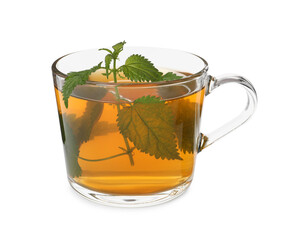 Glass cup of aromatic nettle tea on white background