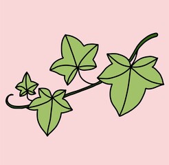 Simplicity ivy freehand drawing flat design.