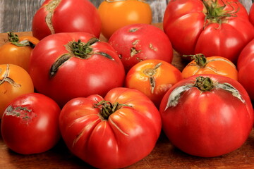 blanched red tomatoes on a plate, ready for peeling.
Tomato processing for preserves 