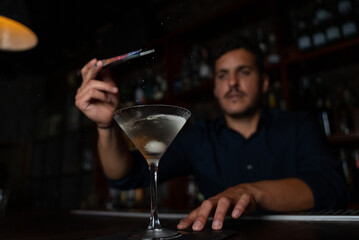Soft focus of man dropping ice into glass while preparing martini cocktail during work in dim pub.
