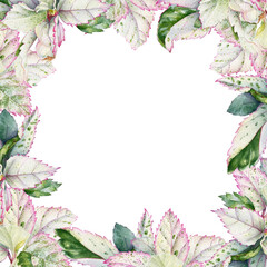 Frame with watercolor tropical plants with multicolor leaves