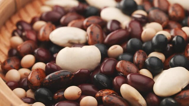 多種類の豆の集合