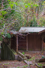 Old wooden house gate log fence and wood door roof in park with fallen leaves on staircases in autumn Kyoto forest