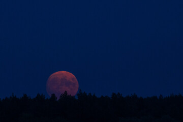 full red moon rises over the forest