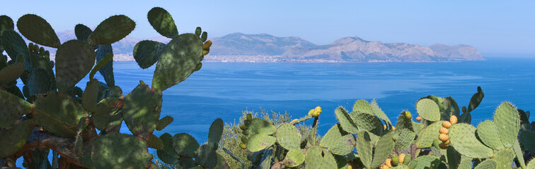 Panoramic View The Gulf Palermo