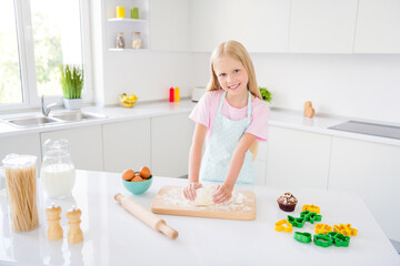 Photo of happy cheerful young girl knead dough bake cookie smile enjoy indoors inside house home...