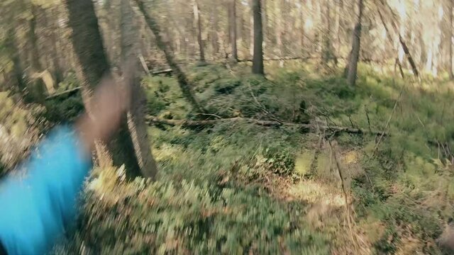 Instinct Images – Browse 26,156 Stock Photos, Vectors, and Video ...