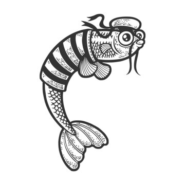 Cartoon sailor fish sketch engraving vector illustration. T-shirt apparel print design. Scratch board imitation. Black and white hand drawn image.