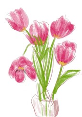 pink tulips in vase