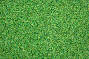 Fototapeta premium artificial green grass texture for background
