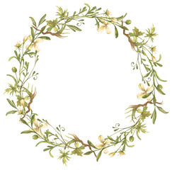 Watercolor beautiful wreath of meadow flowers, herbs, berries isolated on white background