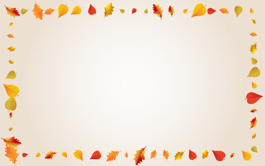 Colorful Leaves Vector Transparent Background.