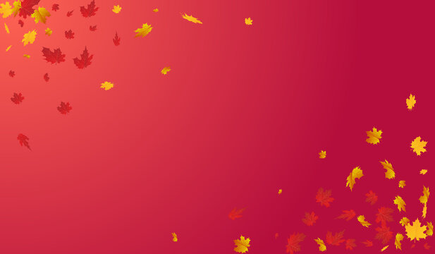 Autumnal Plant Vector Red Background. Realistic