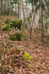 landscape with sandstone rock formation in the forest