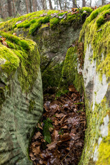 close up of sandstone rocks covered with green moss and lichens during fall season