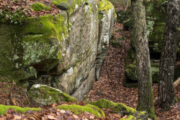 landscape with sandstone rock formation in the forest