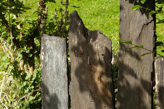 Un alignement de palis, schiste bleu, dans un jardin .