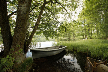 boat on the lake