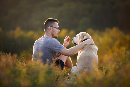 What's the Dog Doing? Unleashing the Emotional and Perplexing World of Canine Behavior Learn how to manage common behaviors, improve the emotional connection with your pet, and use technology to enhance your life with your furry friend