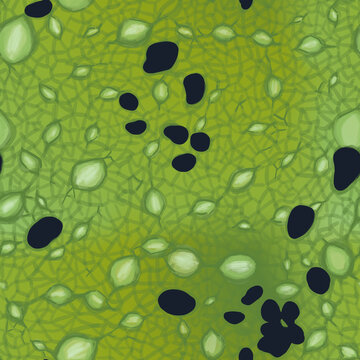 seamless pattern frog skin green bubble illustration