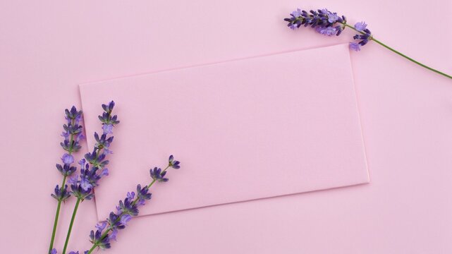 Lavender flower on a pink card mockup design elements.  Wedding greeting pink card invitation.Happy Birthday, Valentine's day,  Mother's Day greeting card 