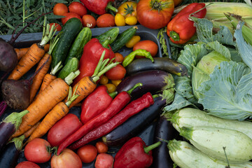 Harvest of vegetables