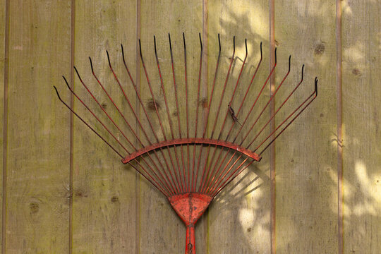 Un vieux rateau &agrave; gazon rouge pos&eacute; sur un mur en bardage bois qui a verdi. On voit les rayons de soleil sur le bois