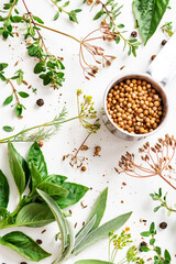Various herbs and spices on a white background top view. Basil, thyme, sage and spices flat lay....